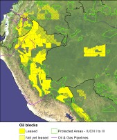 oil blocks of the western amazon